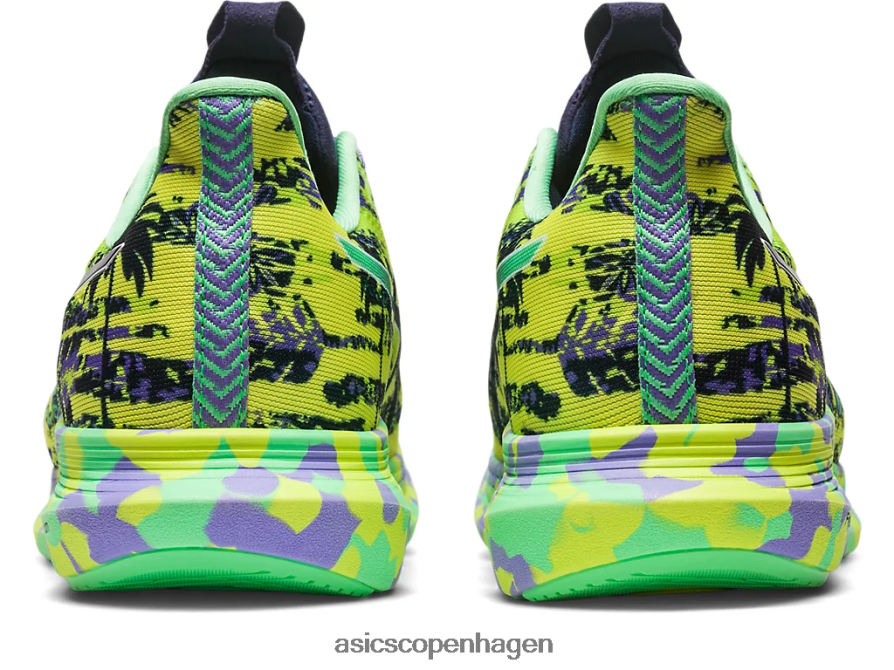 Asics noosa tri 14 sikkerhedsgul/midnat Z206F62412