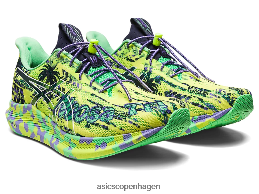 Asics noosa tri 14 sikkerhedsgul/midnat Z206F62412