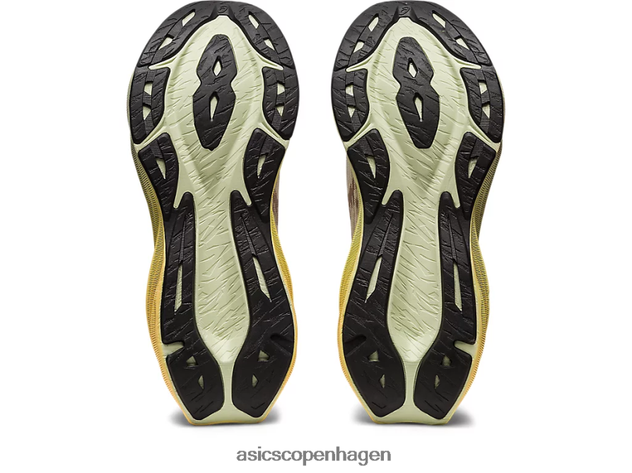 Asics novablast 3 creme/fawn Z206F62870