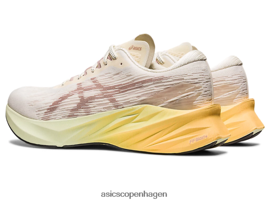 Asics novablast 3 creme/fawn Z206F6376