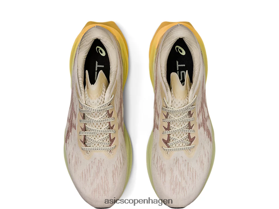 Asics novablast 3 creme/fawn Z206F6376