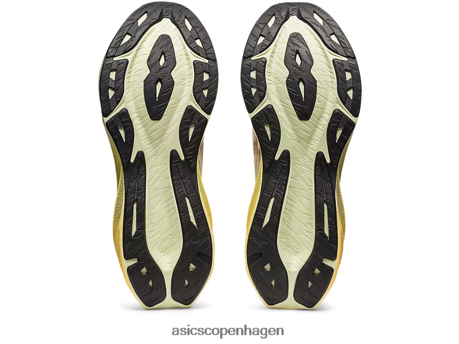 Asics novablast 3 creme/fawn Z206F6376