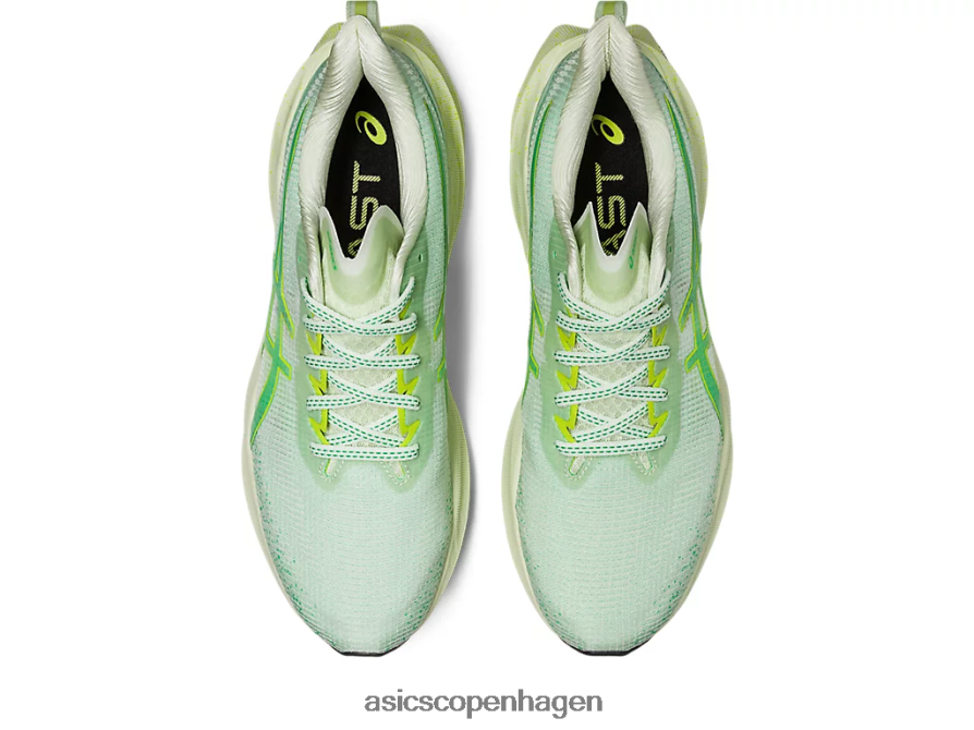 Asics novablast 3 le hviske grøn/koriander Z206F6110