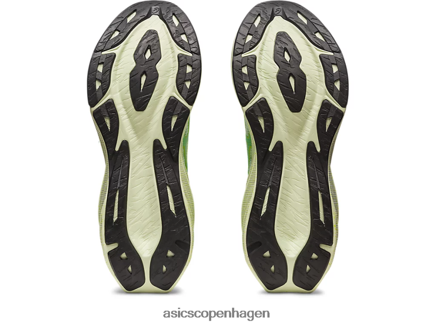 Asics novablast 3 le hviske grøn/koriander Z206F6110