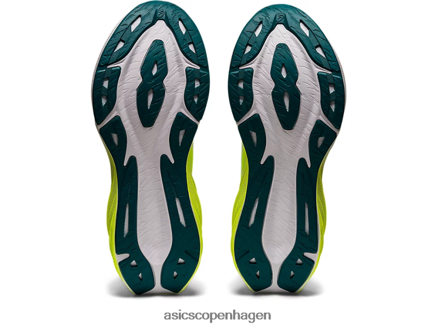 Asics novablast 3 sikkerhed gul/hvid Z206F62959