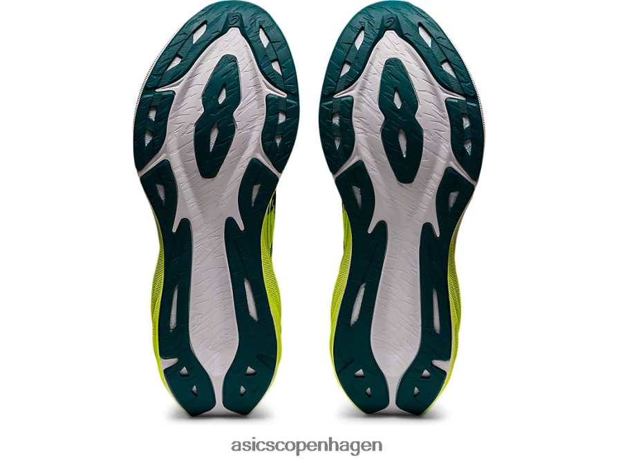 Asics novablast 3 sikkerhedsgul/sort Z206F61007