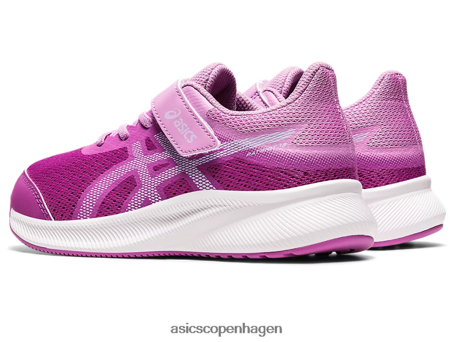 Asics patriot 13 førskole orkidé/blød himmel Z206F64438