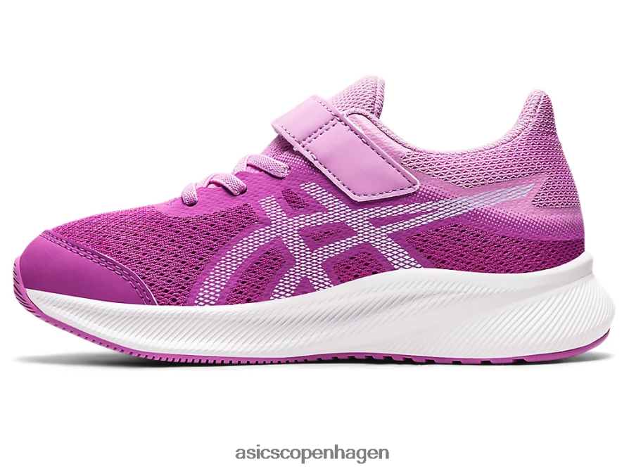 Asics patriot 13 førskole orkidé/blød himmel Z206F64438