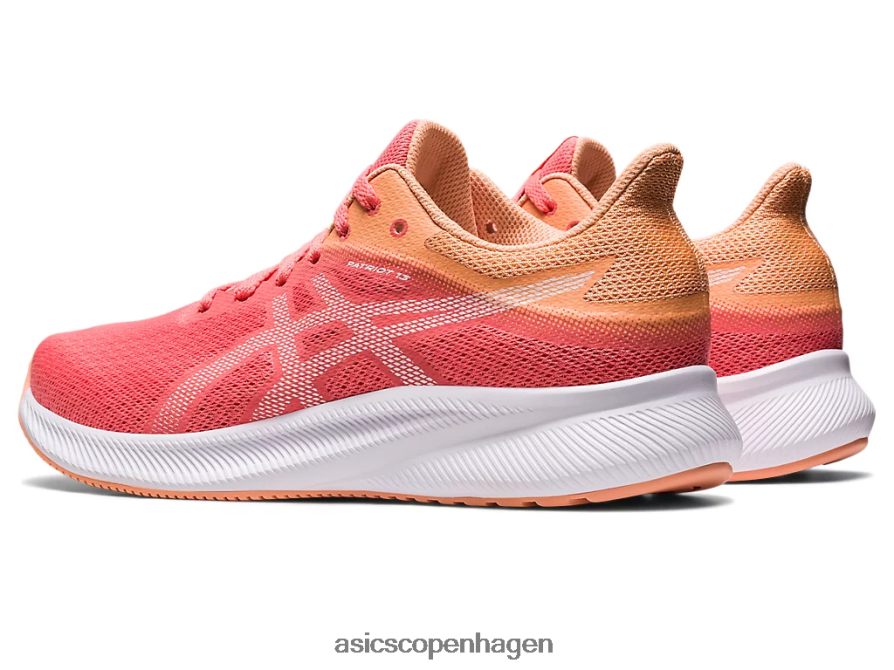 Asics patriot 13 papaya/hvid Z206F62583