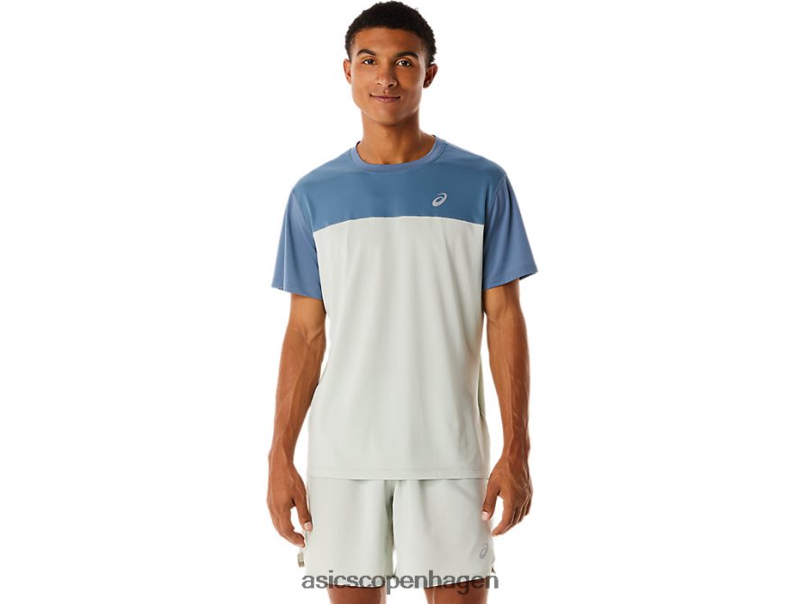 stål blå/lys salvie