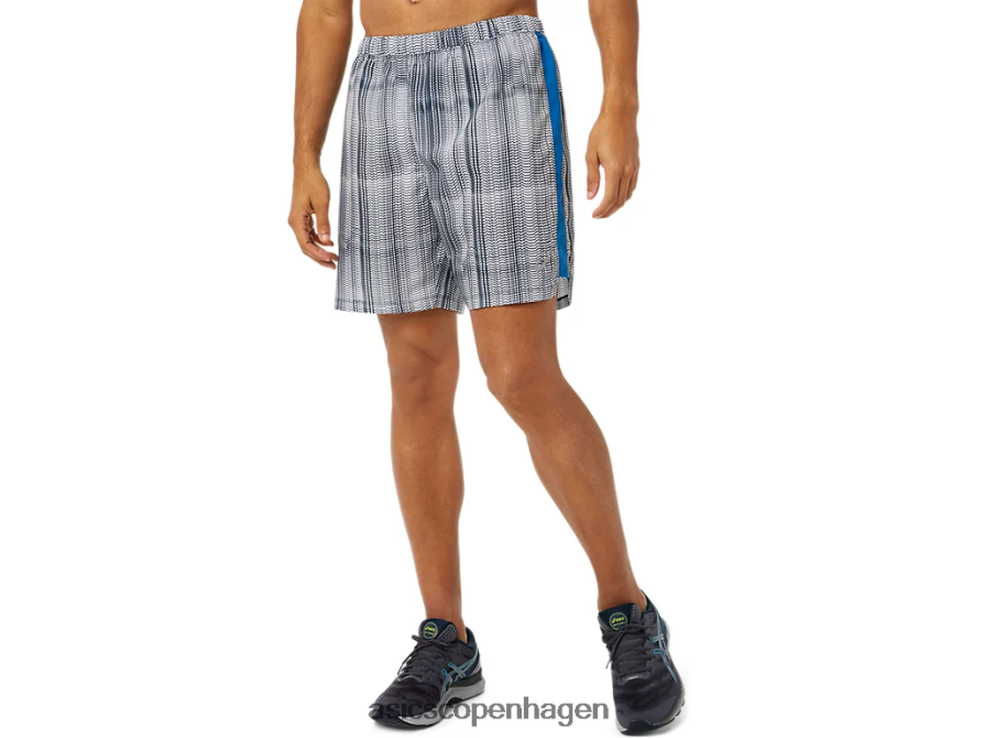 fransk blåt print/lake drive