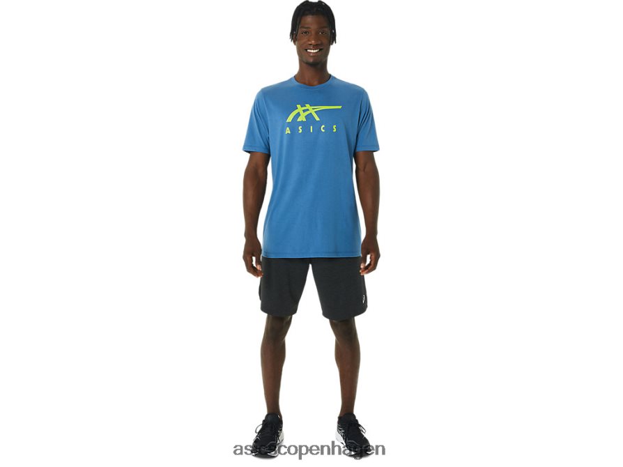 Asics stribet kortærmet t-shirt azurblå Z206F61085