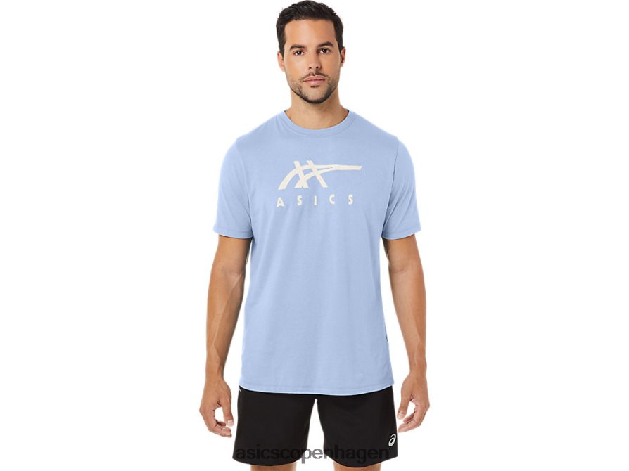 Asics stribet kortærmet t-shirt blød himmel Z206F628