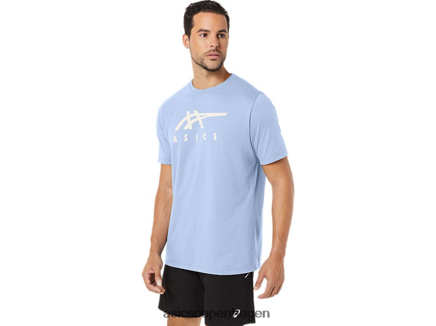 Asics stribet kortærmet t-shirt blød himmel Z206F628