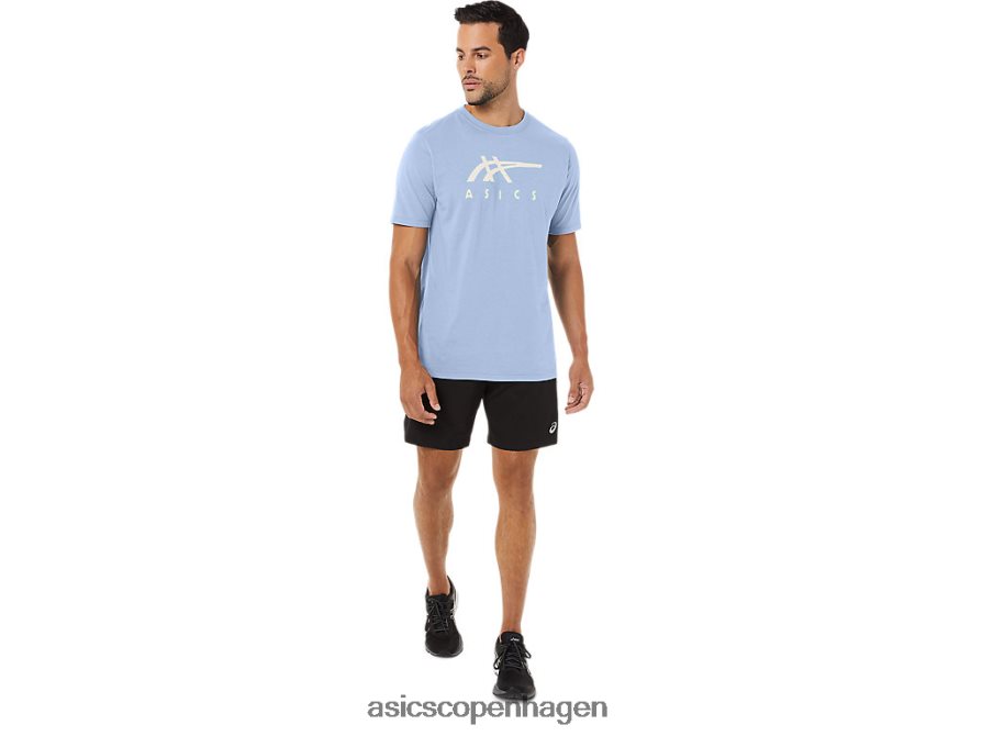 Asics stribet kortærmet t-shirt blød himmel Z206F628