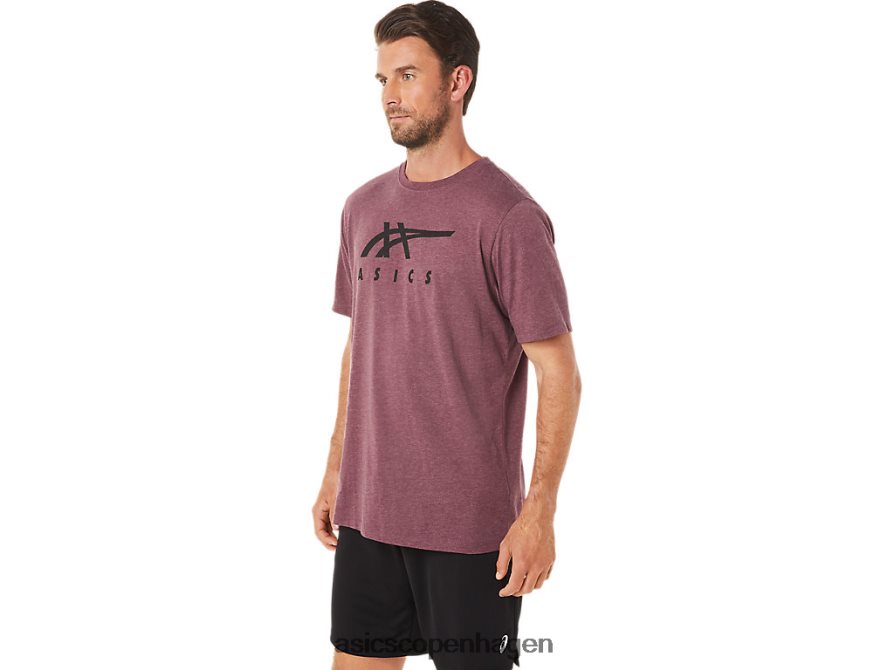 Asics stribet kortærmet t-shirt dyb sumplyng Z206F61643