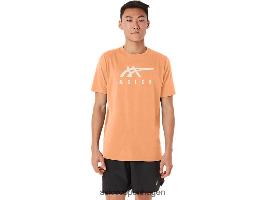 Asics stribet kortærmet t-shirt sommerklit Z206F670