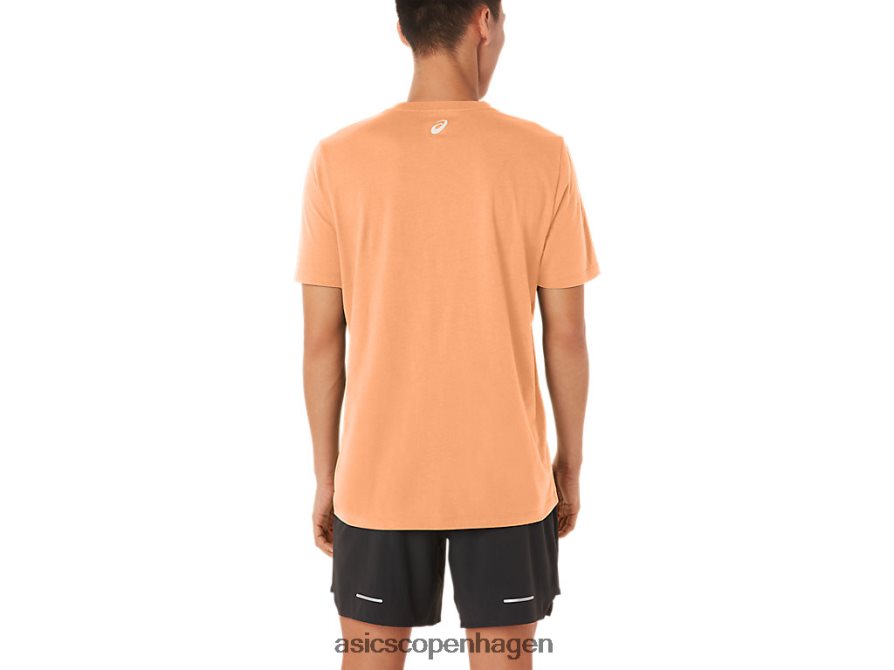 Asics stribet kortærmet t-shirt sommerklit Z206F670