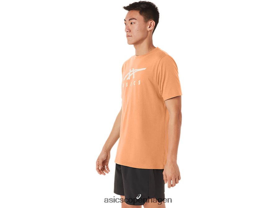 Asics stribet kortærmet t-shirt sommerklit Z206F670