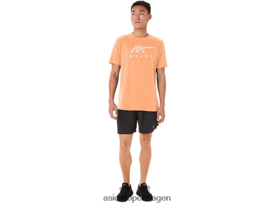 Asics stribet kortærmet t-shirt sommerklit Z206F670