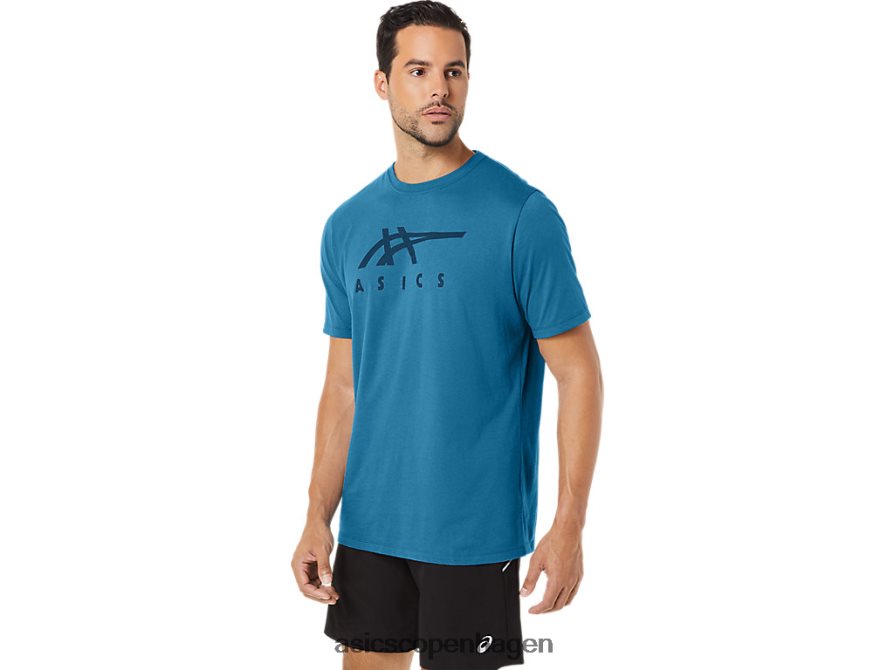 Asics stribet kortærmet t-shirt ø blå lyng Z206F6166