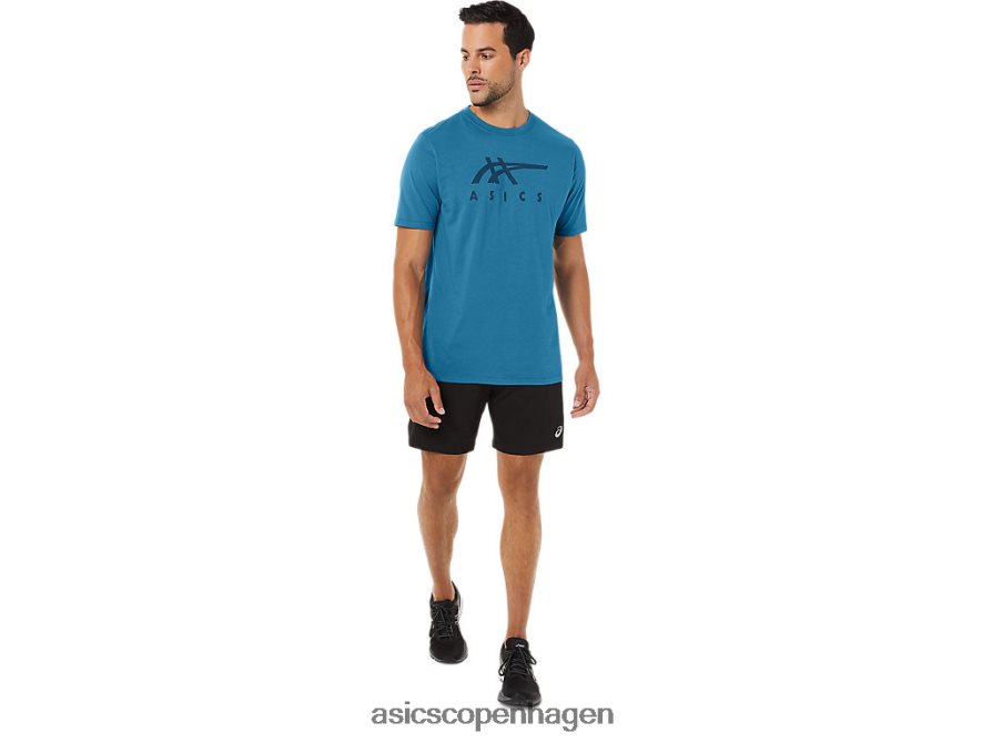 Asics stribet kortærmet t-shirt ø blå lyng Z206F6166