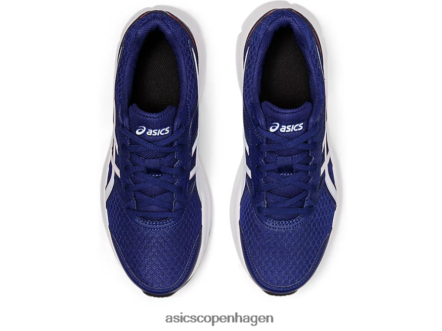 Asics stød 3 bred dyk blå/blød himmel Z206F62892