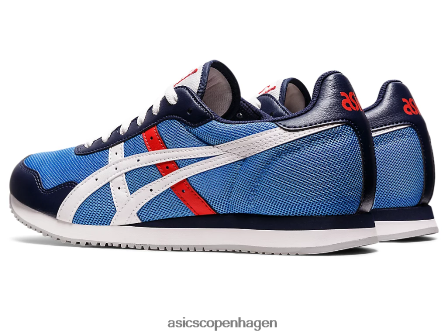 Asics tigerløber blå kyst/hvid Z206F61188