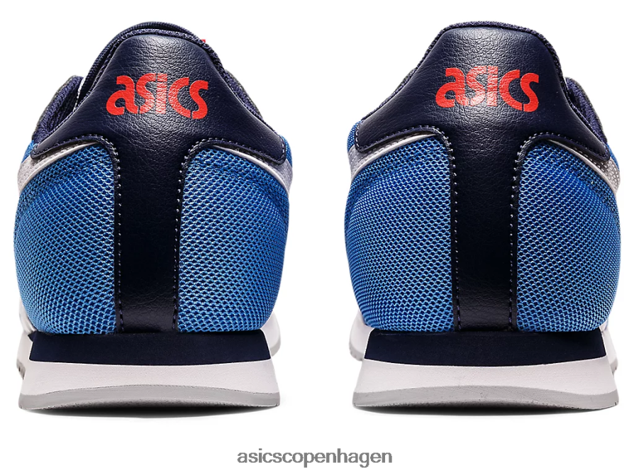 Asics tigerløber blå kyst/hvid Z206F61188