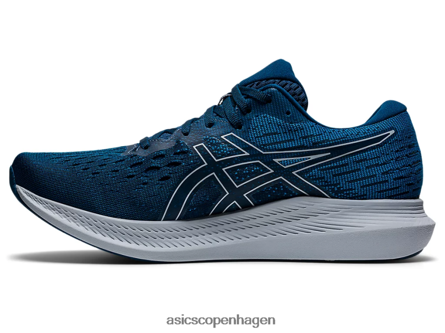 Asics undgå 2 mako blå/piemontegrå Z206F61916