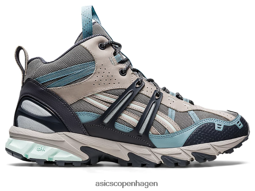 gletsjergrå/bæregrå