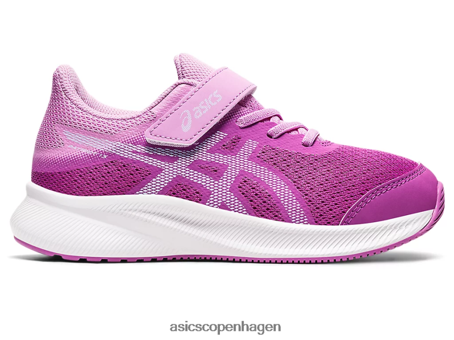 Asics patriot 13 førskole orkidé/blød himmel Z206F64438