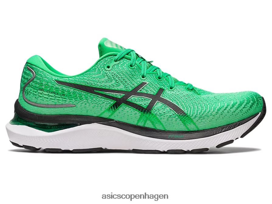Asics gel-cumulus 24 koriander/sort Z206F6392