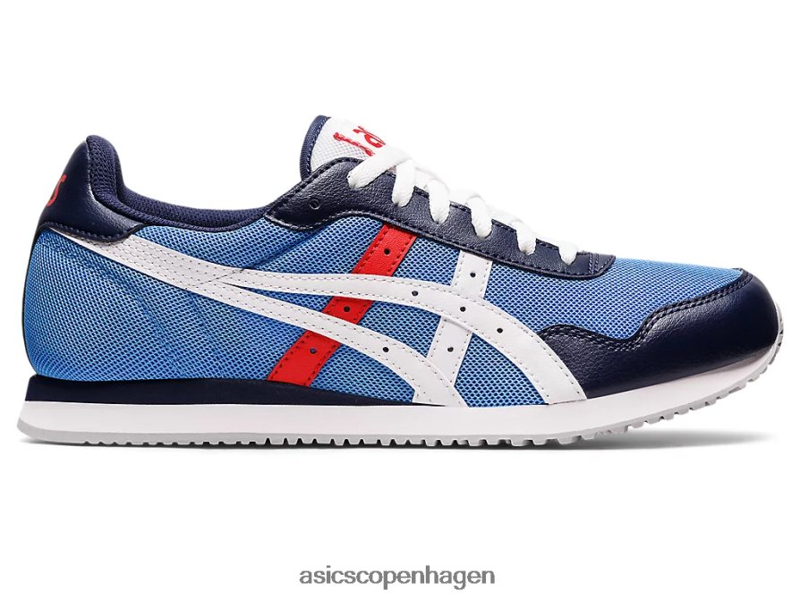 Asics tigerløber blå kyst/hvid Z206F61188