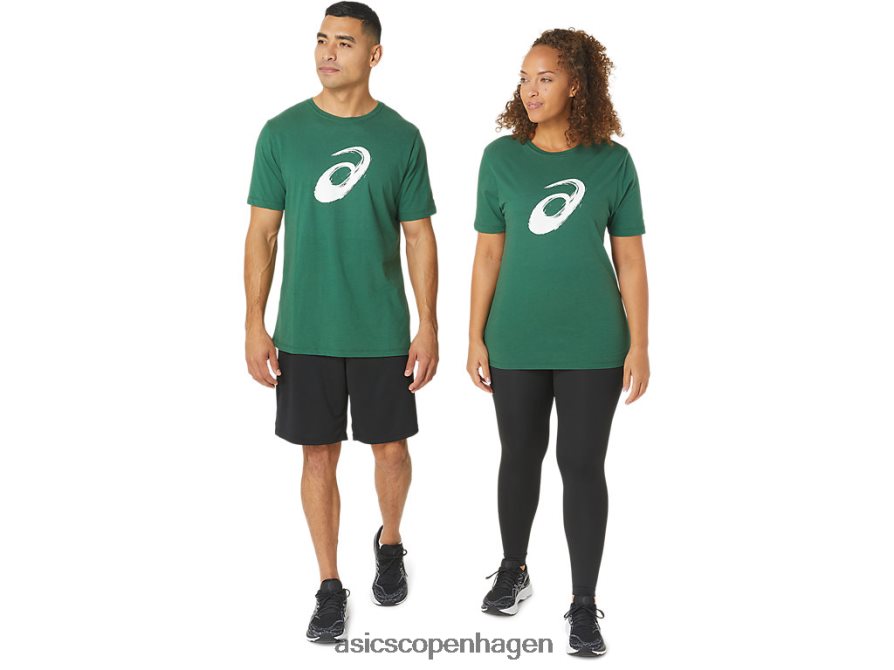 Asics malerpensel kortærmet t-shirt jægergrøn Z206F6879