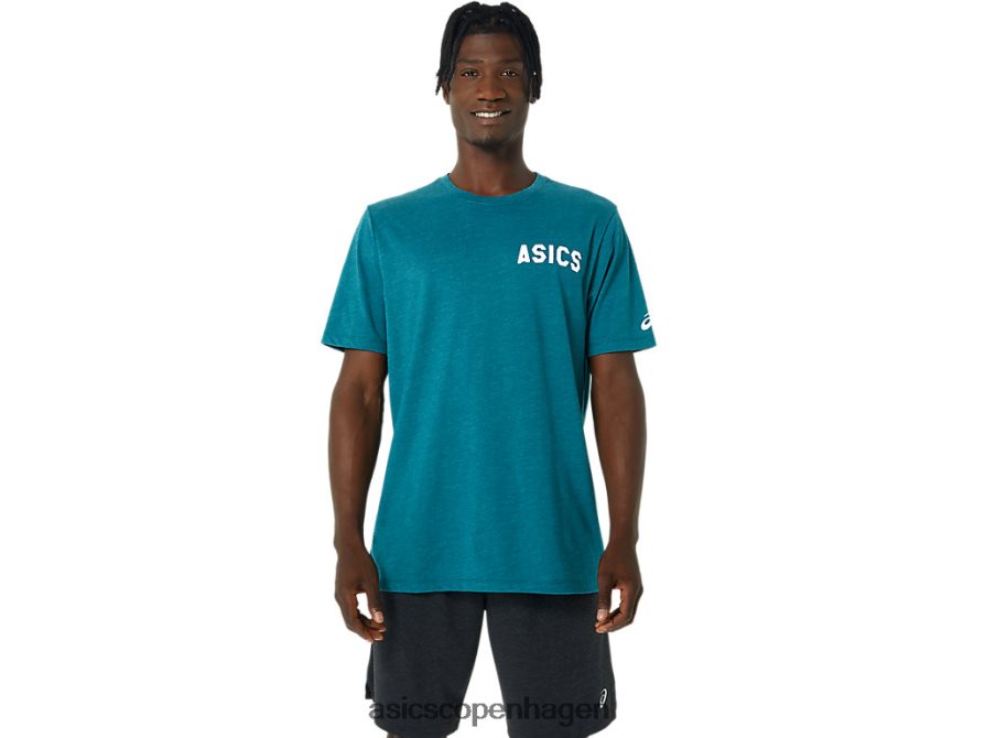 Asics striber solopgang t-shirt fløjlsfyrlyng Z206F6831