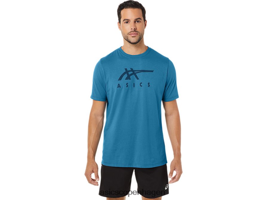 Asics stribet kortærmet t-shirt ø blå lyng Z206F6166