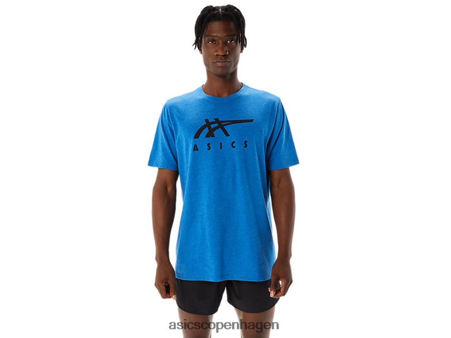 Asics stribet kortærmet t-shirt sødrev lyng Z206F6850
